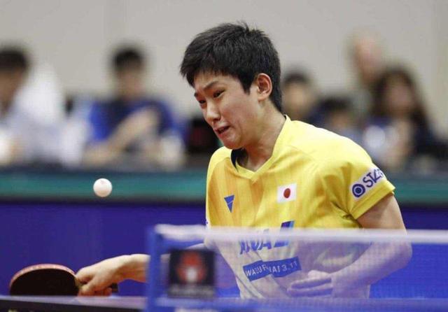 全垒打纪录 全垒打纪录