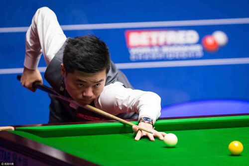 而像坦帕湾 而像坦帕湾